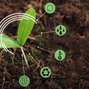 IBDP Biology Success: Concepts to Mastery
