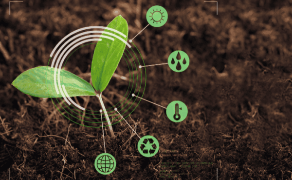 IBDP Biology Success: Concepts to Mastery